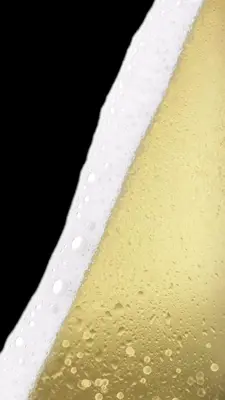 Virtual Champagne Drinking android App screenshot 6